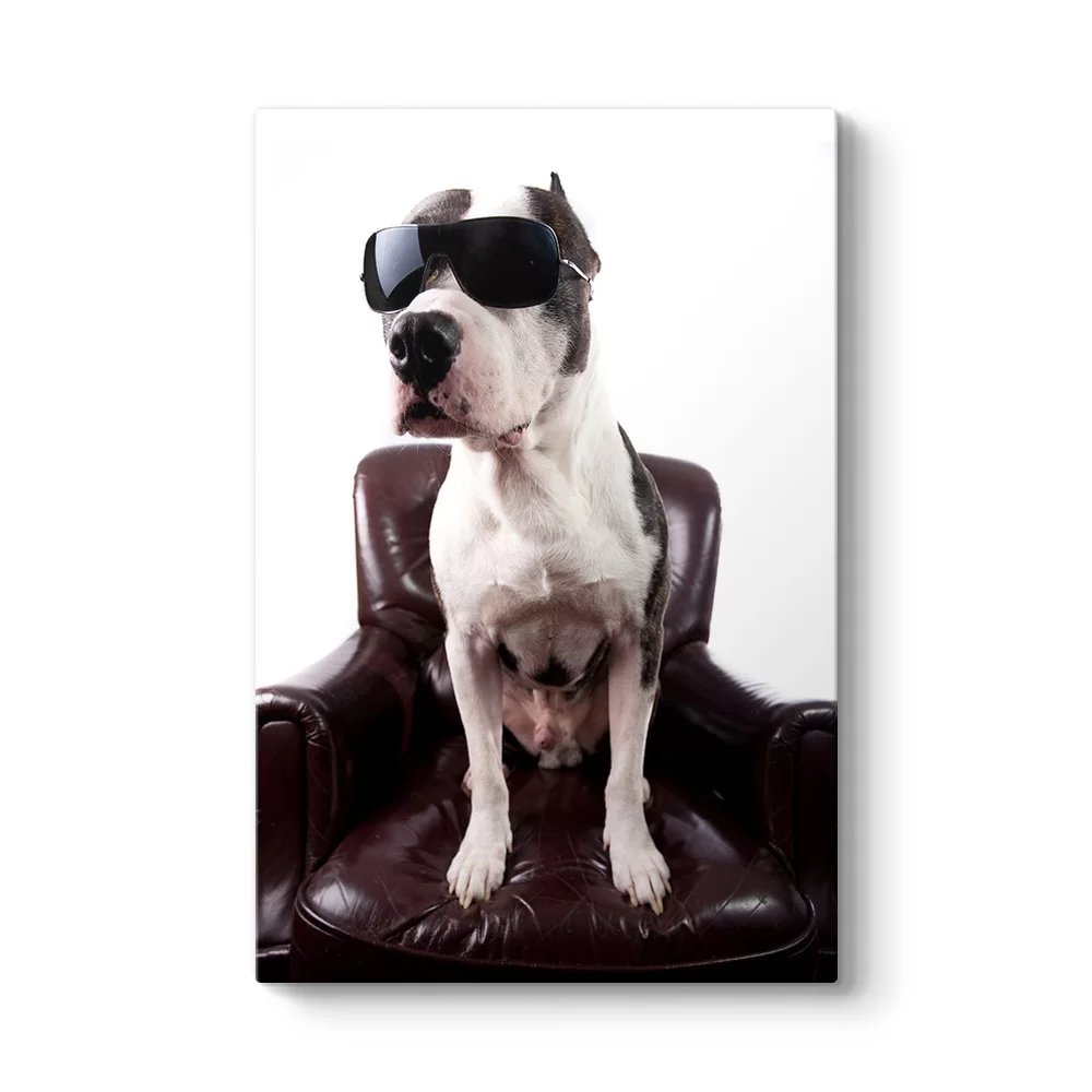 Gözlüklü Pitbull Tablosu - Model 2